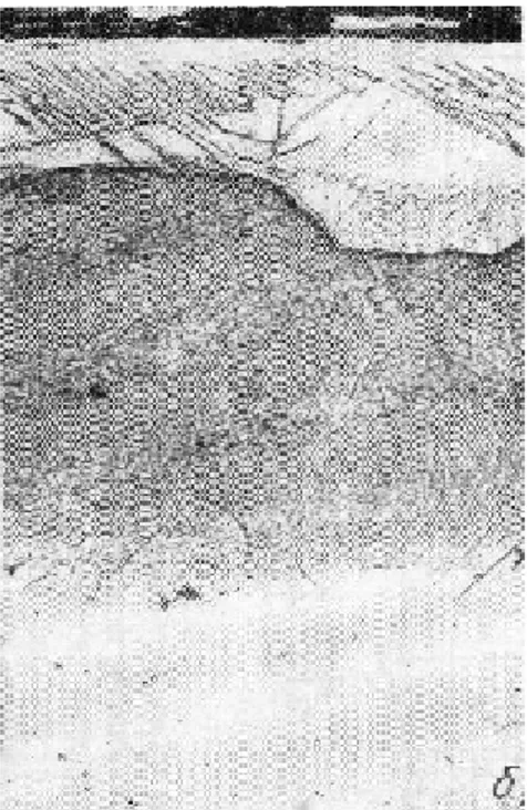 Fig. 3.8 Microestructura de una capa nitrurada obtenida en un acero, con una composición: C= 