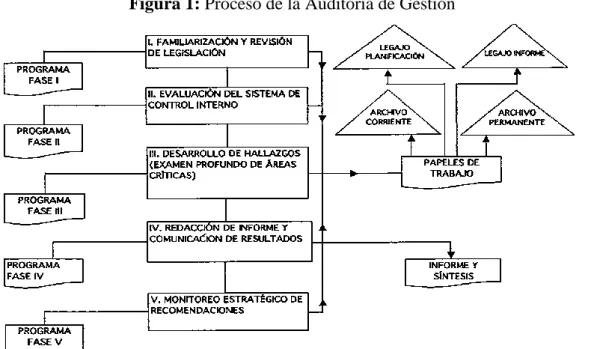 Figura 1: Proceso de la Auditoría de Gestión 