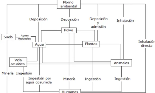 Figura 1.  Esquema circulación del Plomo (Capo, 2002).