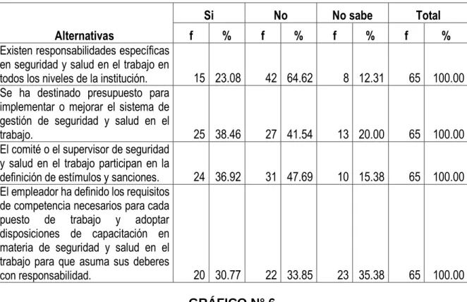 GRÁFICO N° 6 