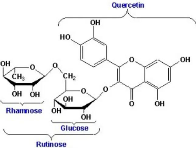 Figura 3: Estructura química de la Rutina. 