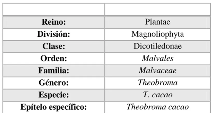 Tabla 2.1: Taxonomía de Theobroma cacao 