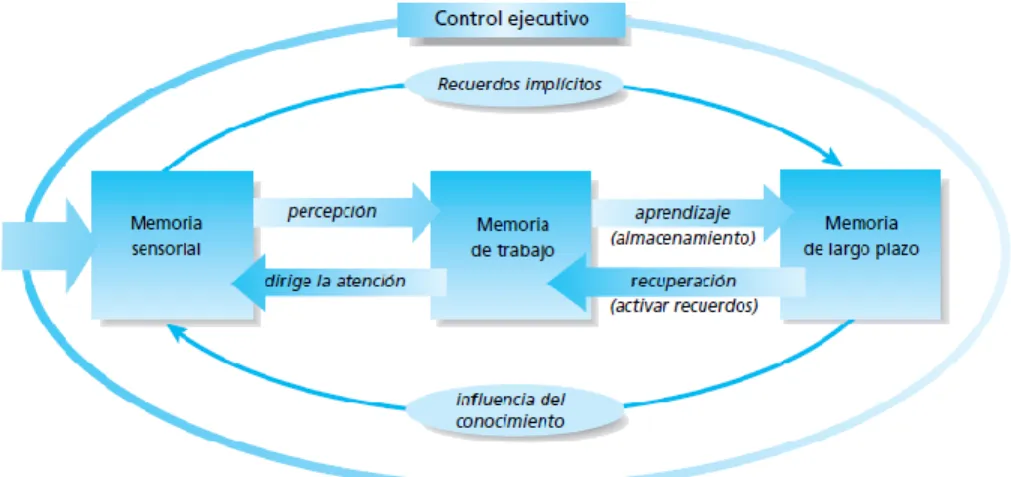 Figura 1. Sistema de procesamiento de la información, entendiendo el aprendizaje como un proceso de la memoria