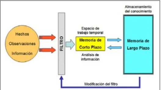 Figura 1. Esquema del modelo de procesamiento de la información (Johnstone, 2006).