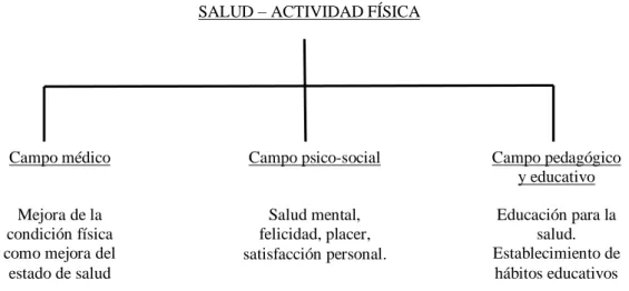 Figura 4. Campos de relación entre la salud y la actividad física. 