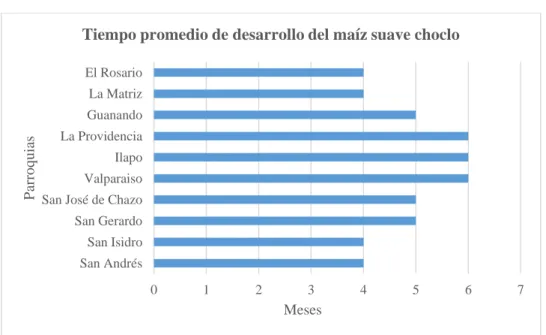 Gráfico 2-3: Tiempo promedio de desarrollo del maíz suave choclo 