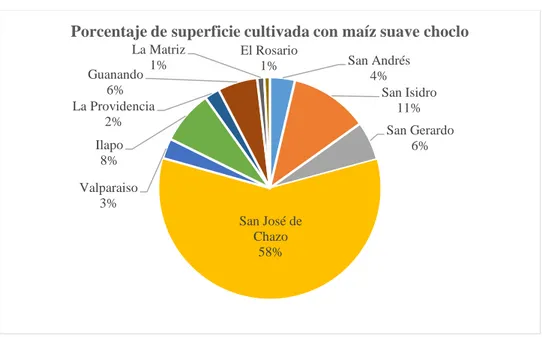 Gráfico 3-3: Porcentaje de superficie cultivada con maíz suave choclo 