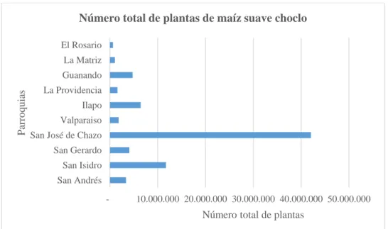 Gráfico 4-3: Número total de plantas de maíz suave choclo 