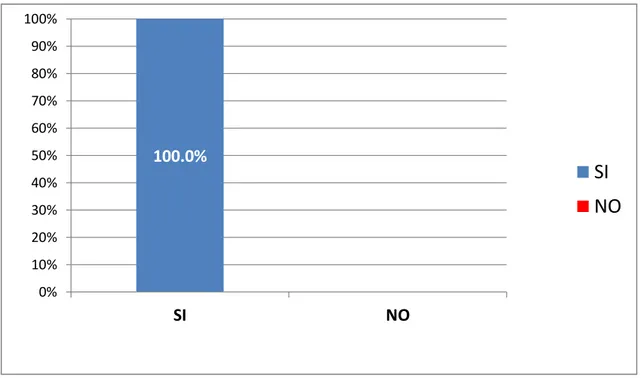 Figura 4. Constitución de equipo directivo para la campaña electoral según Jefe de Prensa 100.0%0%10%20%30%40%50%60%70%80%90%100%SINOSINO