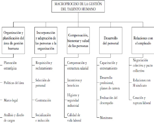 Figura 4. Macro proceso de la gestión del talento humano. 