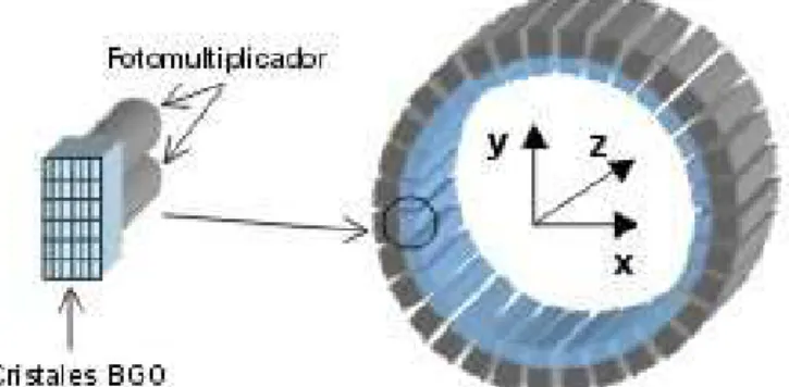 Fig. 2.4.2.  Módulo de detección y disposición anular