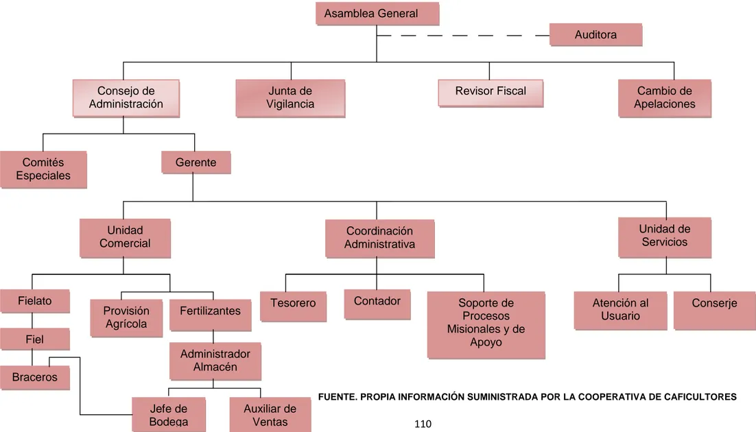 Figura 2. Estructura Organizacional modificada de la Cooperativa de Caficultores de Caicedonia Valle