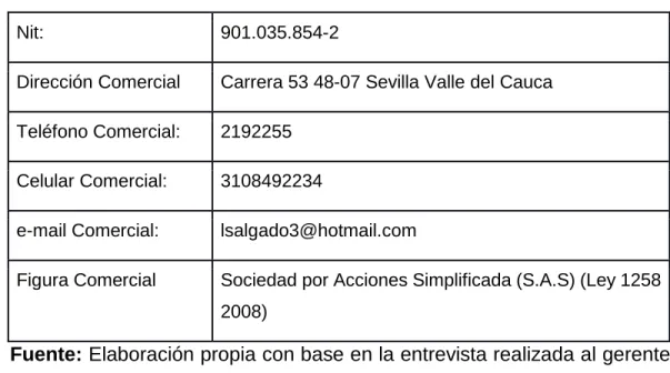 Tabla 3: Información General Constructora Salgir S.A.S: 
