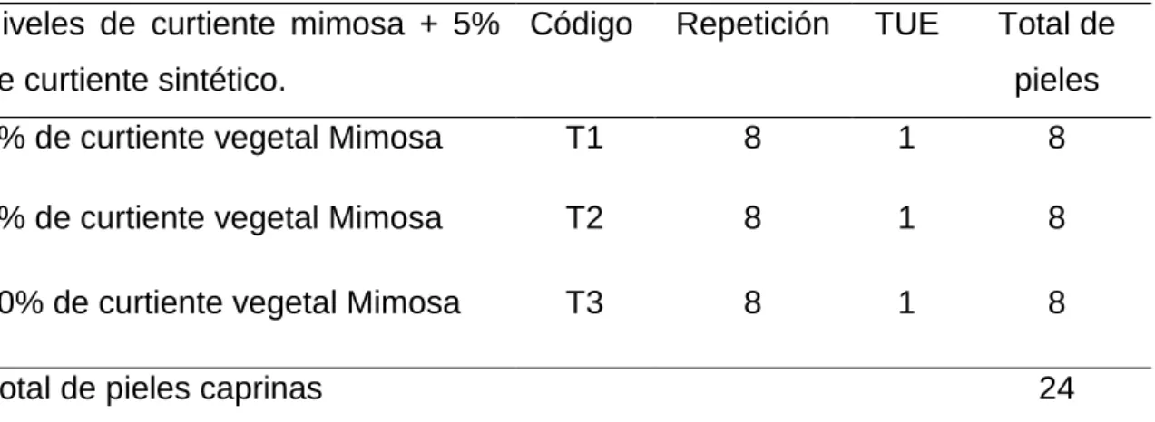 Cuadro 4.   ESQUEMA DEL EXPERIMENTO.  