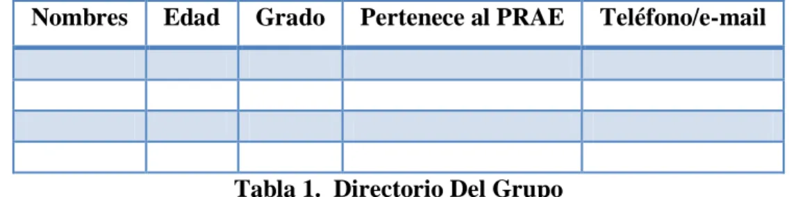 Tabla 1.  Directorio Del Grupo 