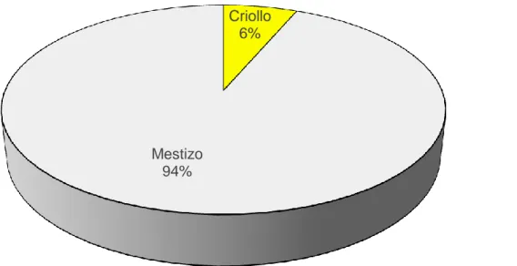 Gráfico 4.  Frecuencia de porcinos faenados en el Camal Municipal de Riobamba 1470  de acuerdo a la raza