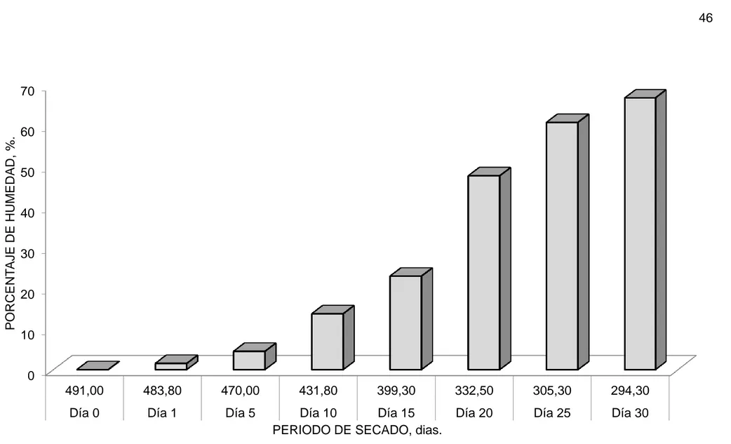 Gráfico 1. Porcentaje de humedad removido de las muestras de salame procesadas en la cámara de secado y maduración frente  al tiempo de secado