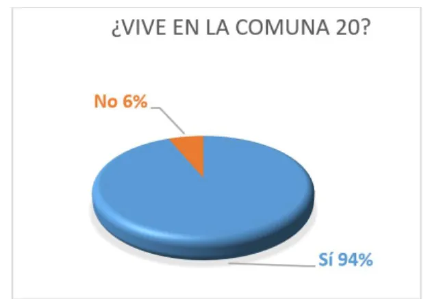 Gráfico 9. Población de la comuna 20 que participó en la encuesta