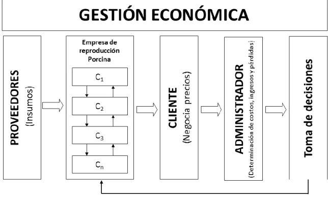 Gráfico  5.  Representación  gráfica  e  interrelación  de  las  variables  que  intervienen  en  la  gestión  económica de las granjas de reproductoras porcinas
