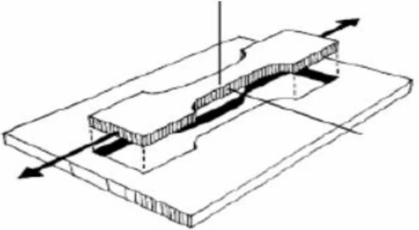 Figura 2.  Dimensionamiento de la probeta.  