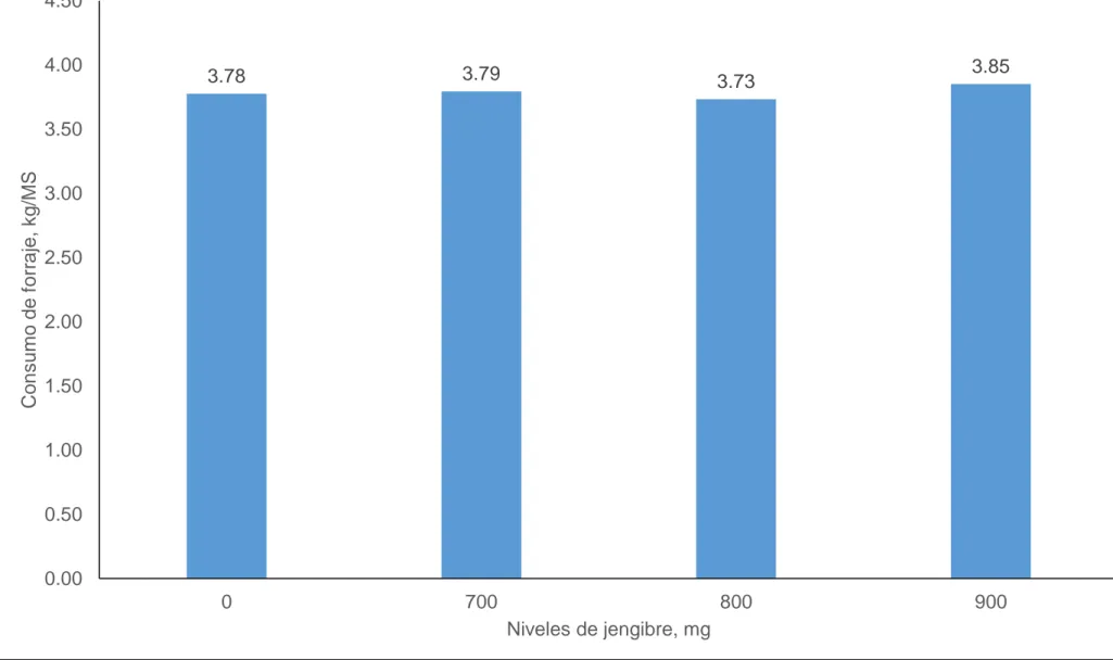 Gráfico 3.   Consumo de forraje (kg/MS), de conejos alimentados con diferentes niveles de jengibre