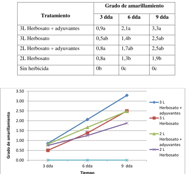 Figura 15: Grado de amarillamiento del “callacaz” a los 3, 6 y 9 dda  para comparar  la dosis de Herbosato y el uso de adyuvante