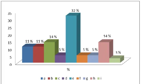 Gráfico 6-3. Representación % (Ilustraciones). 