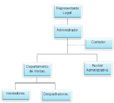 Figura 2. Estructura organizacional 