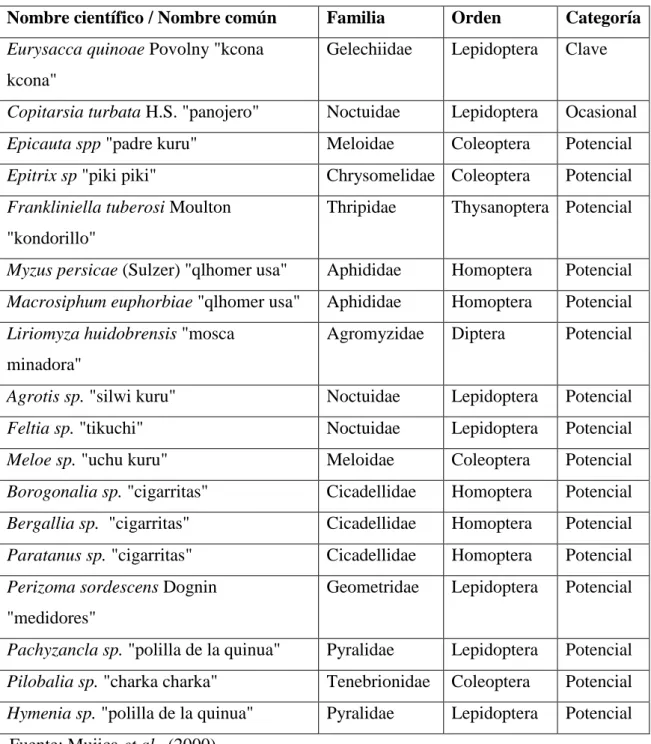 CUADRO 2. Categorías de insectos plaga en el cultivo de quinua. 