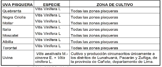 Tabla 1.- Uvas Pisqueras para Caracterización organoléptica y preferencias de consumo de  piscos de uva negra criolla y moscatel procedentes de los distritos de Aplao, Caravelí y Santa 