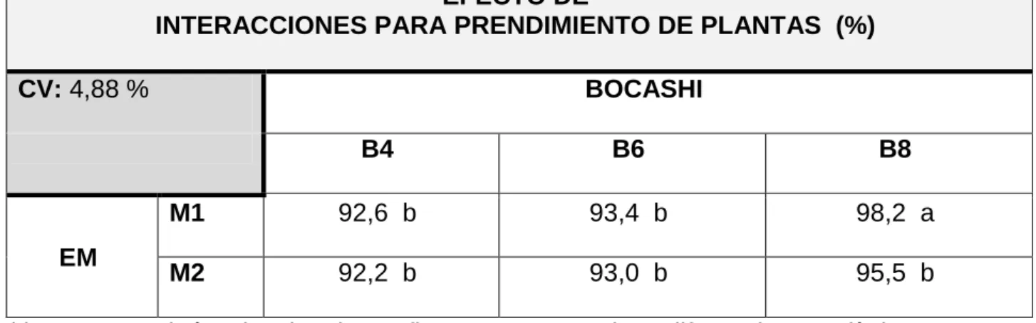 Cuadro  12:  Prendimiento  de  plantas  de  fresa  cv.  Selva  por  efecto  de  la  interacción Bocashi y EM