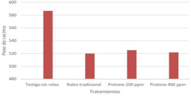 Figura 4.- Peso promedio de racimo para evaluar dos concentraciones de  Ácido Absícico (ProTone™) en el raleo químico de uva de mesa orgánica  (Vitis vinífera L.) cv Superior