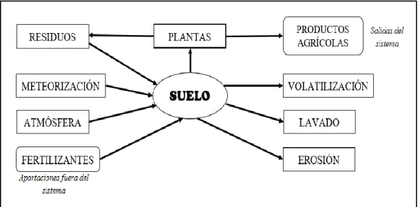 Figura 7:  Esquema  típico  del  ciclo  de  un  elemento  nutritivo  en  el  suelo.  Fuente: 
