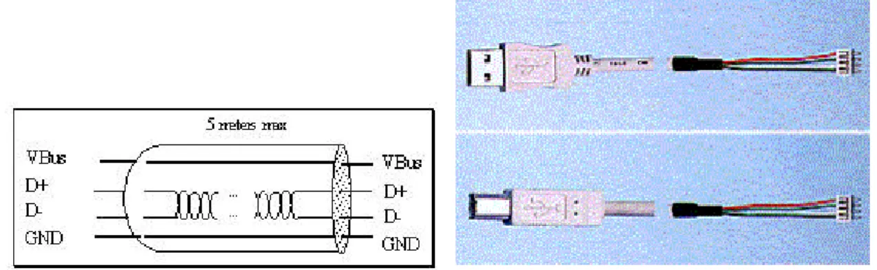 Figura  I 11 Conexión interna del cable USB 