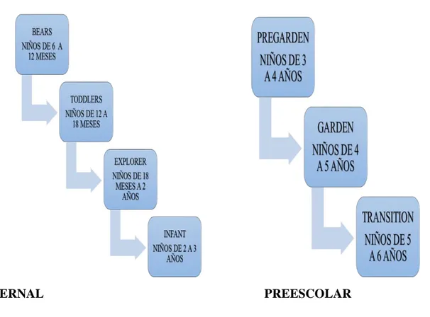 Figura 5: Organización por grados de la Institución. 