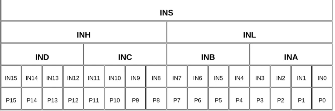 Tabla 4: Registro INS