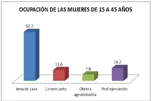 GRÁFICO 4 
