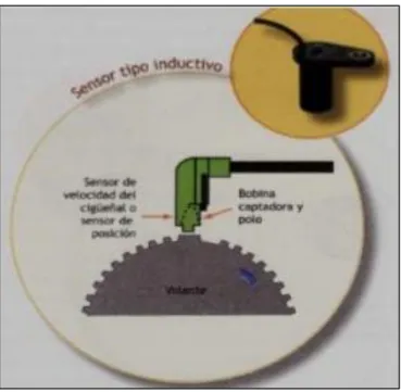 Figura  10-2. Sensor CKP  
