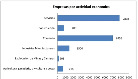 Figura 2. Empresas por actividad económica  Fuente: INEC (2013) 