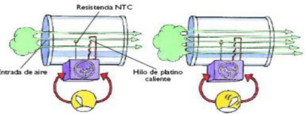 Figura 8-2. Sensor por Termoeléctricos  