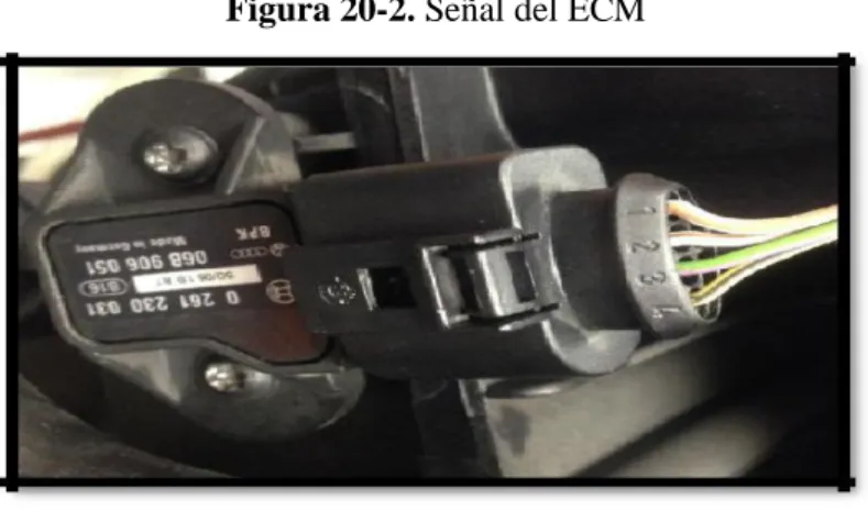Figura 20-2. Señal del ECM