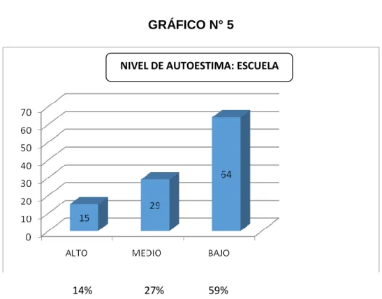 GRÁFICO N° 5 