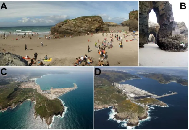 Figure 1. A-B: Tourists visiting the Catedrales beach. C-D: Harbors of Punta Langosteira and Ferrol