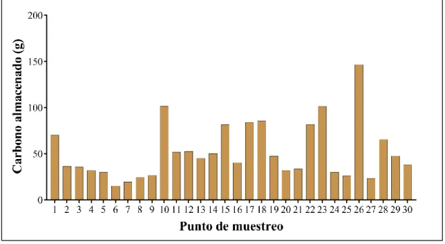 Figura 11. Cantidad de carbono almacenado (g) en suelo orgánico por punto de muestreo