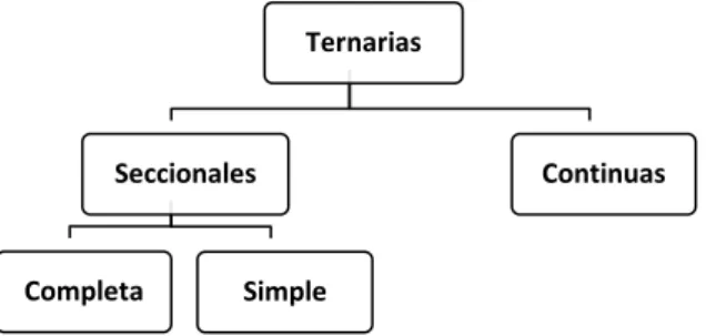 Figura 9. Detalla el esquema de partes de la forma Ternaria seccional simple. 