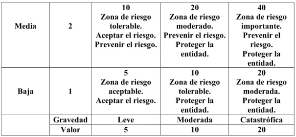 Tabla 15  Calificación de los Riesgos. 