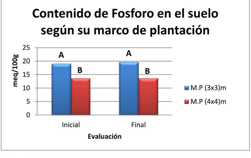 Gráfico 5.  Fósforo presente en el suelo según el marco de plantación. Est. Exp. Tunshi,  2015 