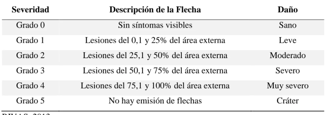Cuadro 2. Escala de severidad elaborada para la evaluación de la pudrición del cogollo en  plantas de palma aceitera en la zona de San Lorenzo