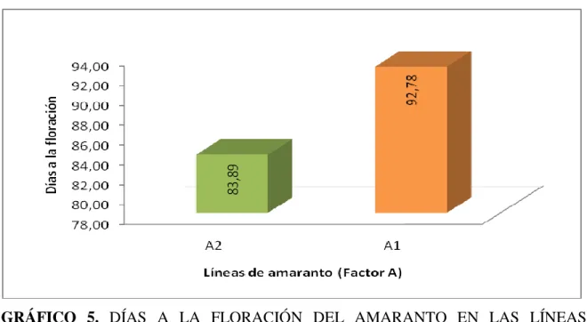GRÁFICO  5.  DÍAS  A  LA  FLORACIÓN  DEL  AMARANTO  EN  LAS  LÍNEAS   (FACTOR A) 