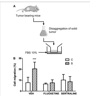 FigUre 6 | Effect of chronic stress and antidepressant treatment on tumor  cells migration